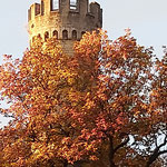 Forstturm im Herbst